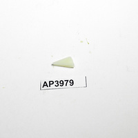 Lee Classic Powder Measure Factory Replacement Wiper (Pair) - AP3979 / AM3979