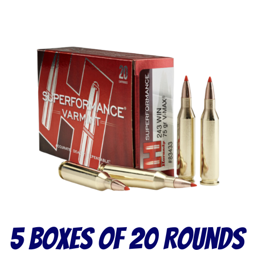 Hornady 243 Win 75gr V-MAX Superformance Varmit - 100 Pack - 83433