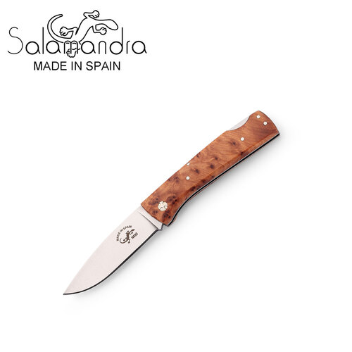 Salamandra Thuja Wood Pocket Knife 160mm - A304151