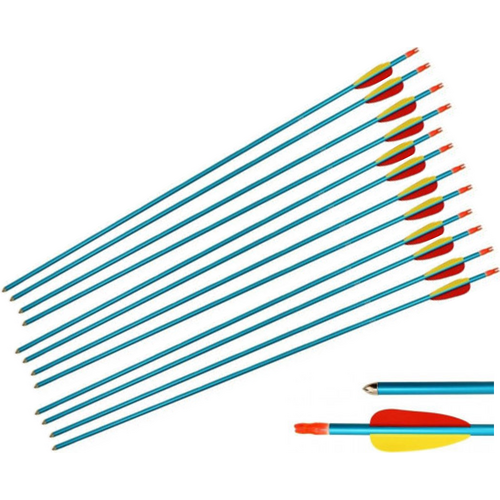 Complete Arrow - Aluminium with Tin Point 29" 12 Pack