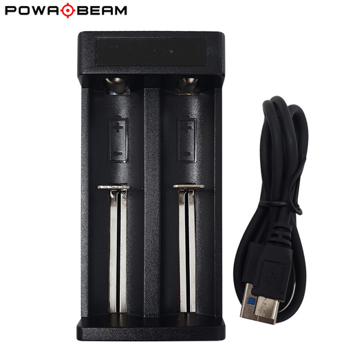 Dual Lithium Battery Charger w Display - BAT-MC2P