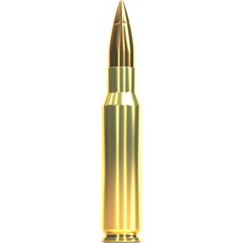 Sellier & Bellot 308 Winchester 180 grain HPC Ammo 20 Round Pack - V331442