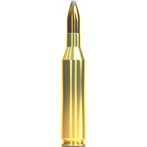 Sellier & Bellot 243 Winchester 100 grain NSR Nosler Partition Ammo 20 Round Pack - V342682