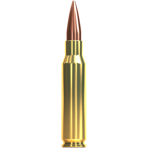Sellier & Bellot 308 Winchester 168 grain FMJ Match Ammo 20 pack - V344882