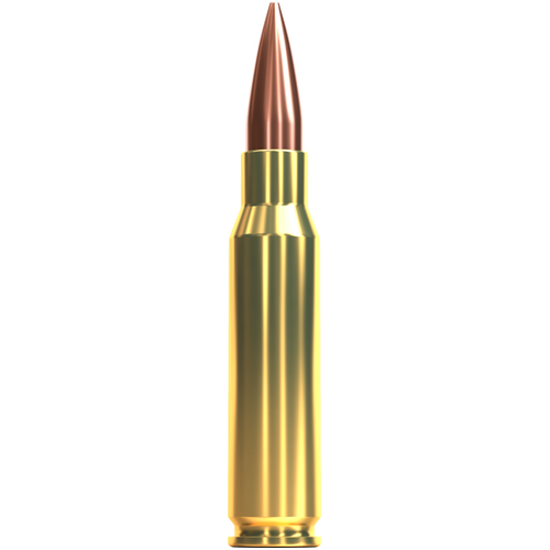 Sellier & Bellot 308 Winchester 180 grain FMJ Match Ammo 20 pack - V344892